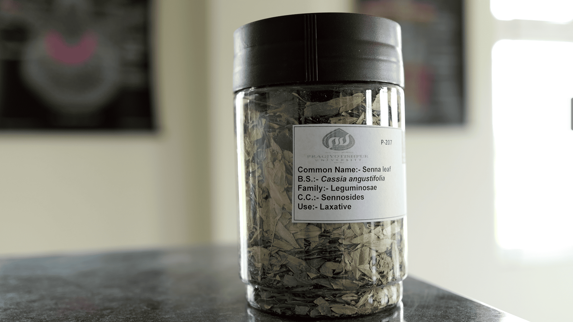 Pragjyotishpur University Guwahati Pharmaceutical chemistry lab photo 9